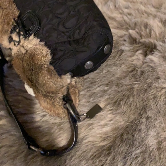 Coach - Picture 6 of 10